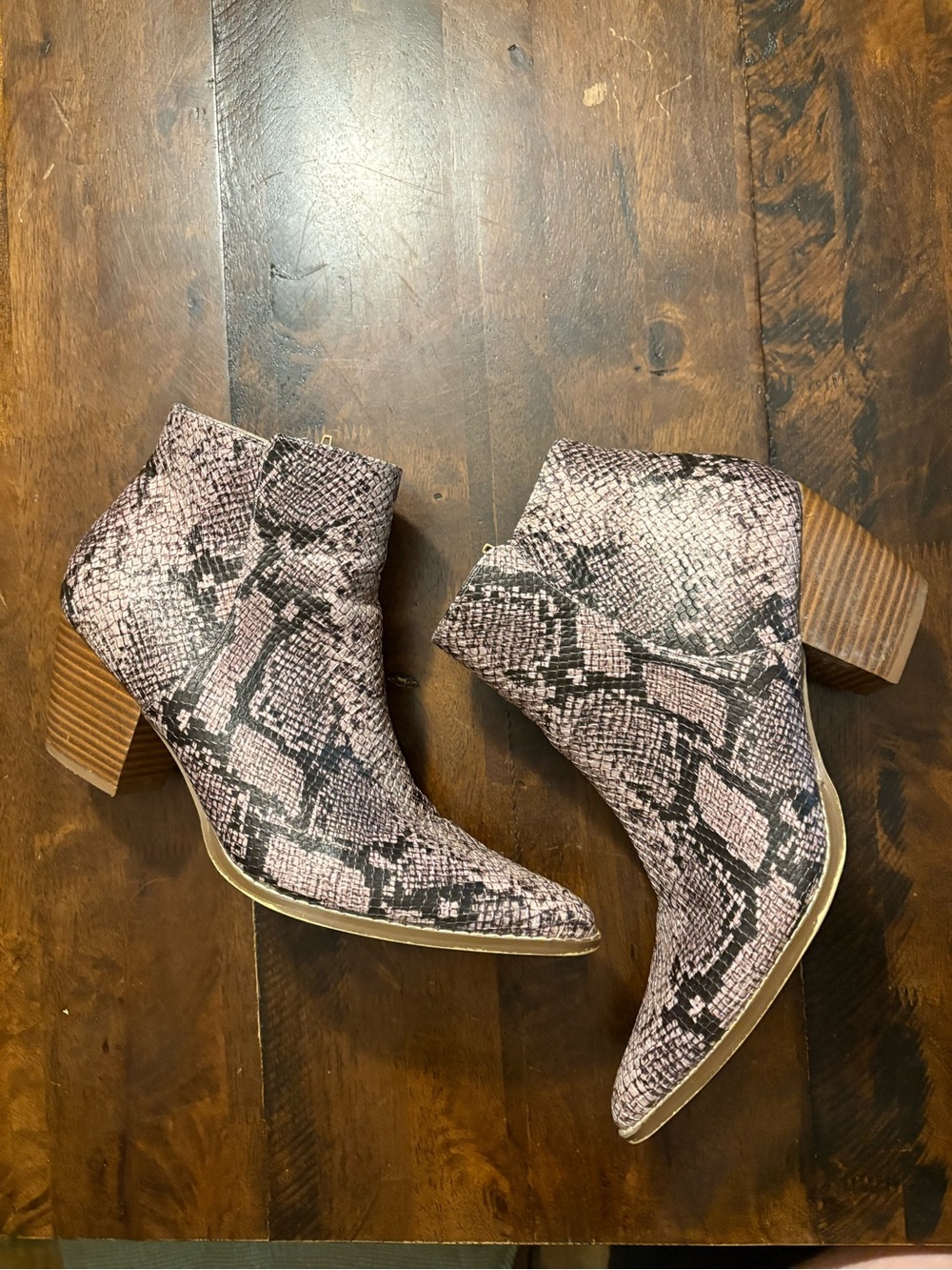 Coconuts by Matisse Astoria Snake-Print Pointed Ankle Booties with Stacked Heel